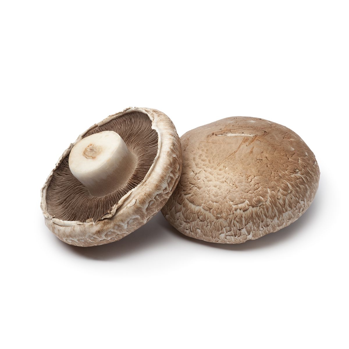 BoxNCase Medium Portobello Mushrooms