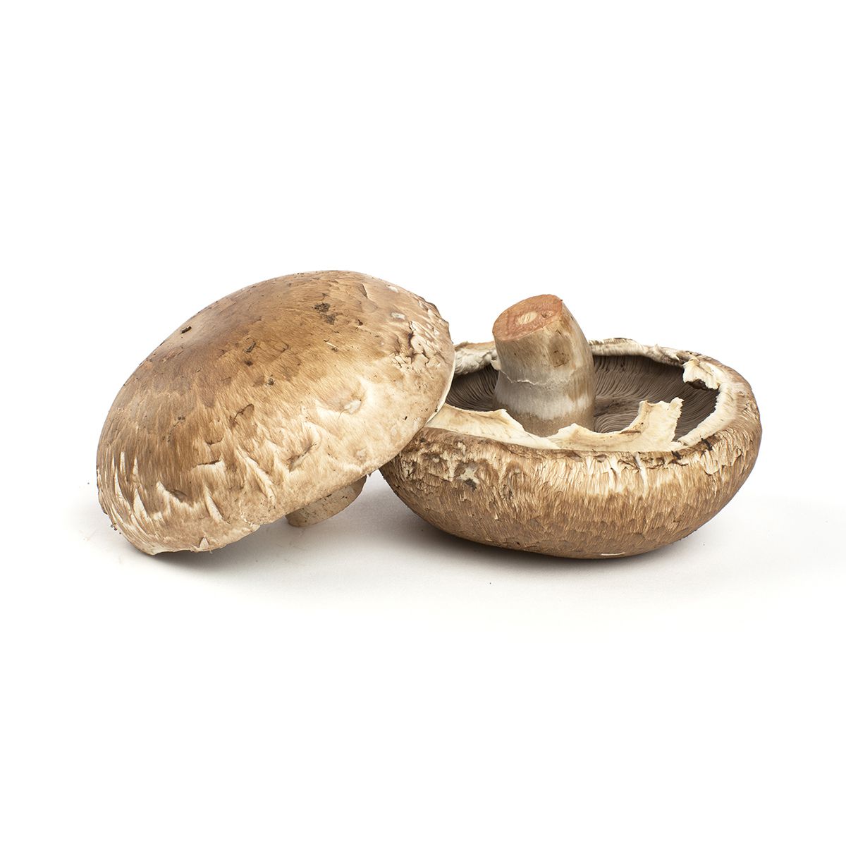 Wholesale BoxNCase 2.5 Portobello Mushroom Caps-3 Pack Bulk