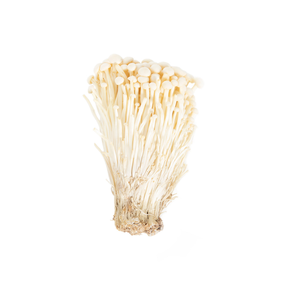 BoxNCase Organic Enoki Mushrooms