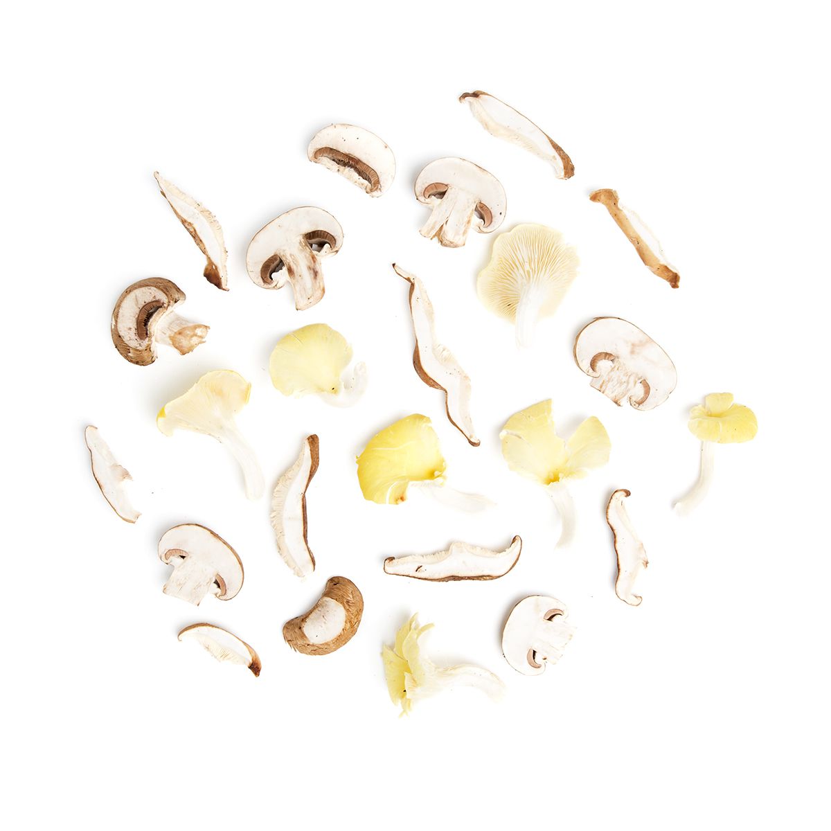 Wholesale BoxNCase Exotic Blend Sliced Mushrooms- Bulk