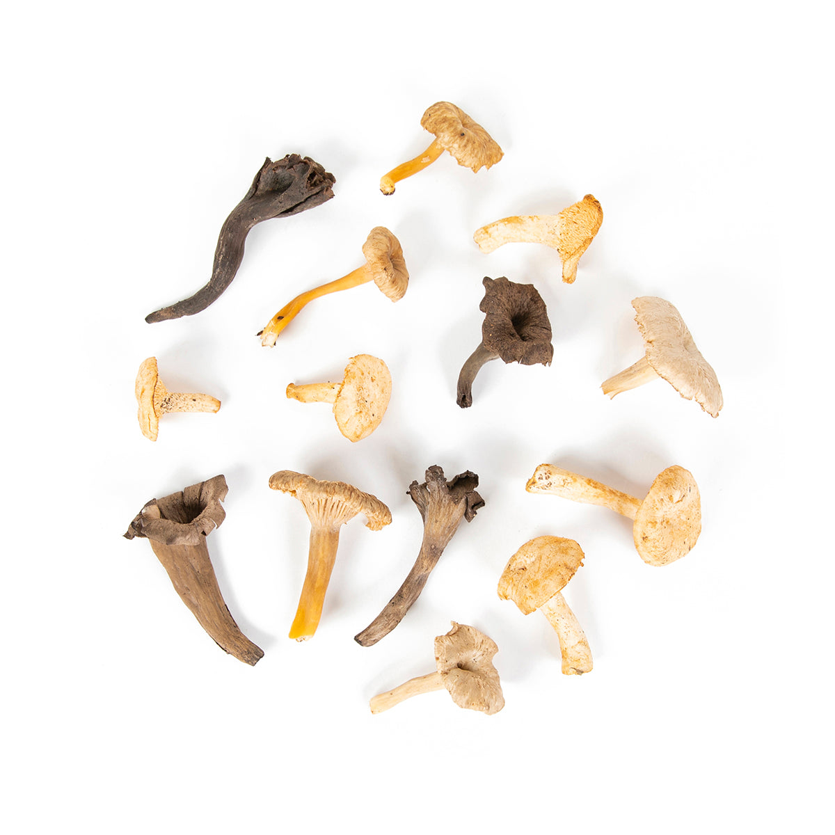Wholesale BoxNCase Wild Chef Mix Mushrooms- Bulk
