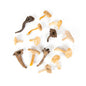 Wholesale BoxNCase Wild Chef Mix Mushrooms- Bulk