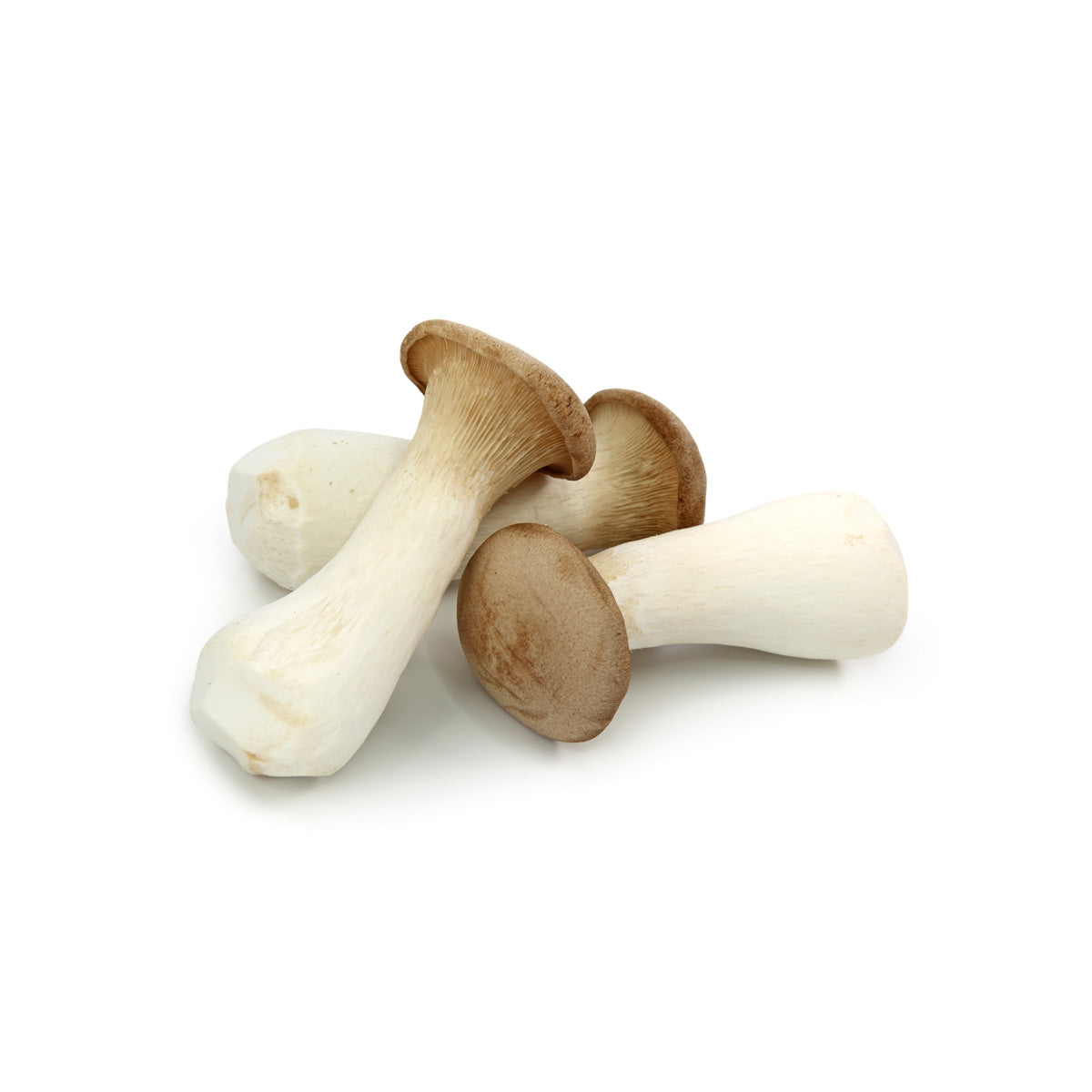 BoxNCase King Trumpet Mushrooms 9.5 oz Bag