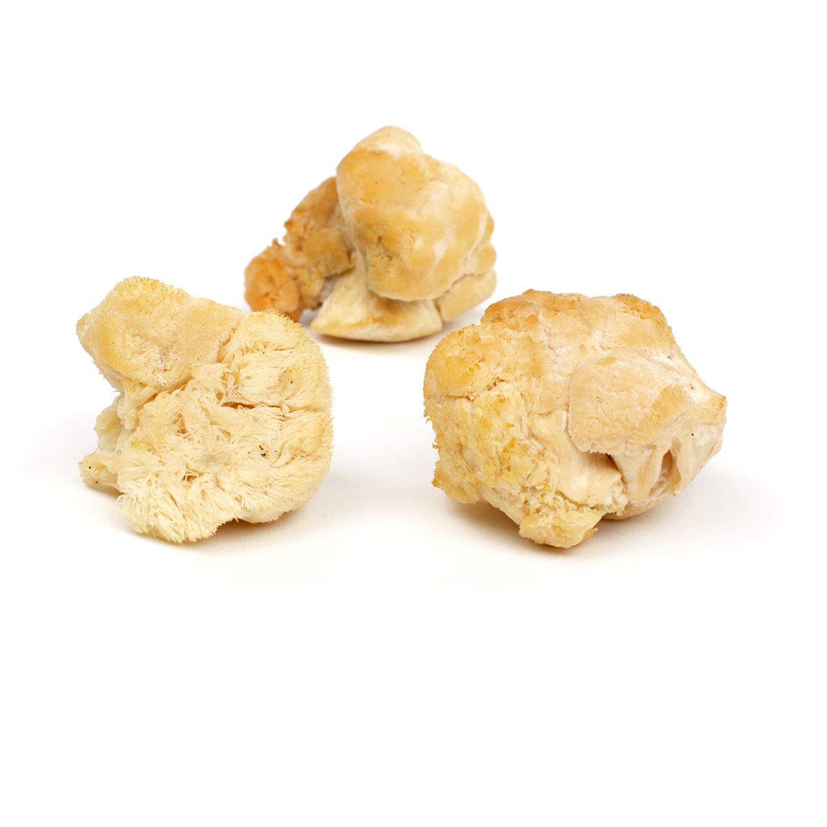 Wholesale BoxNCase Pom Pom Mushrooms- Bulk