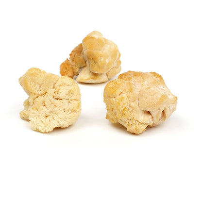 Wholesale BoxNCase Pom Pom Mushrooms- Bulk