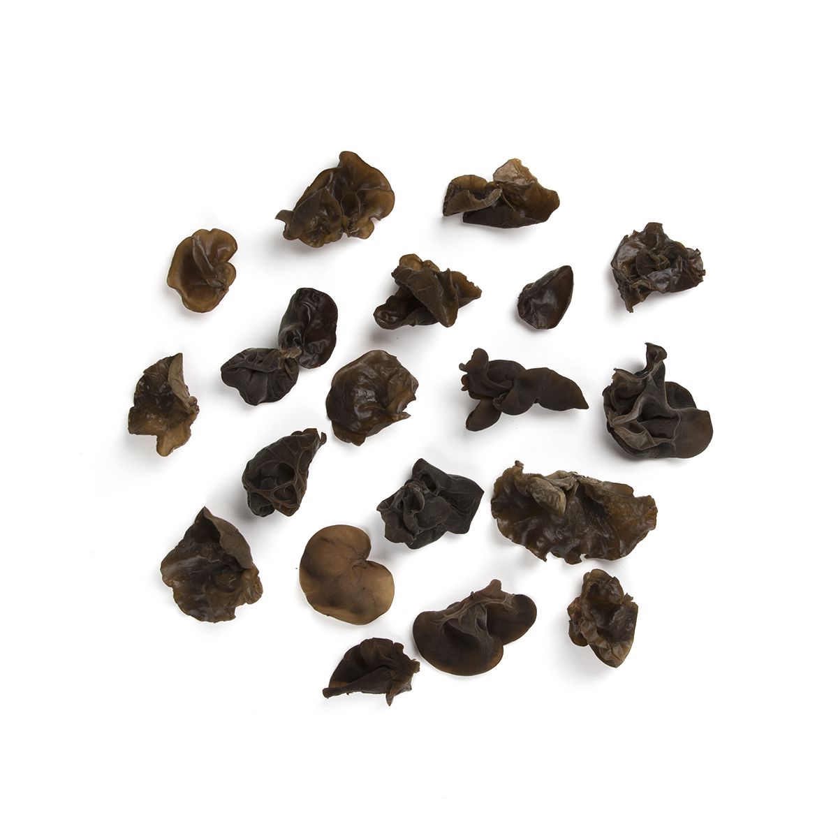 Wholesale BoxNCase Wood Ear Mushrooms- Bulk