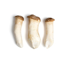 Wholesale BoxNCase King Oyster Mushrooms- Bulk
