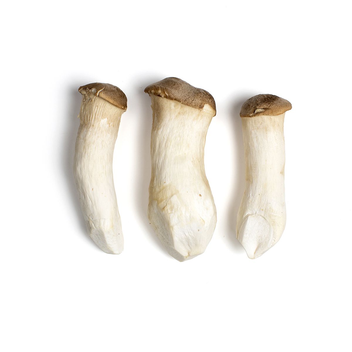 Wholesale BoxNCase Royal Trumpet Mushrooms- Bulk