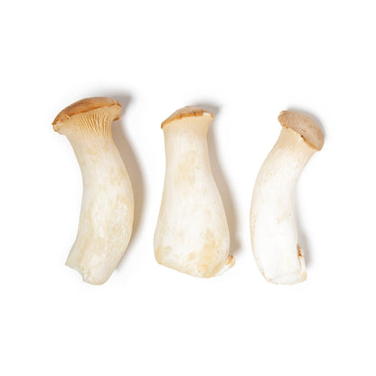 Wholesale BoxNCase Royal Trumpet Mushrooms- Bulk