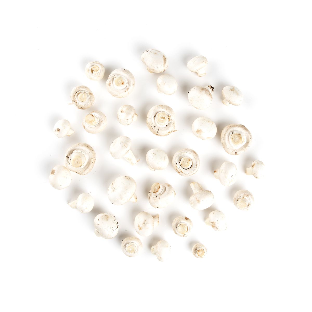 BoxNCase #1 Grade White Medium Mushrooms