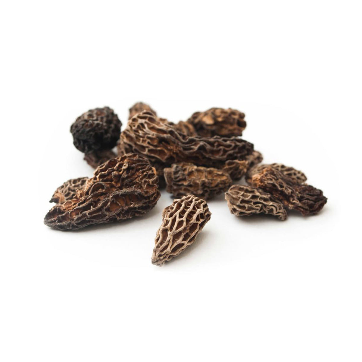 Wholesale BoxNCase Dried Morel Mushrooms-1/2 OZ Bulk