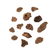 Wholesale BoxNCase Dried California Morel Mushrooms- Bulk