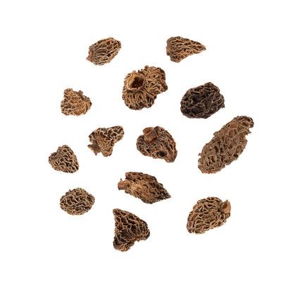 Wholesale BoxNCase Dried California Morel Mushrooms- Bulk