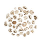 Wholesale BoxNCase Sliced Cremini Mushrooms-5 LB Bulk