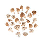 Wholesale BoxNCase Quartered Cremini Mushrooms- Bulk