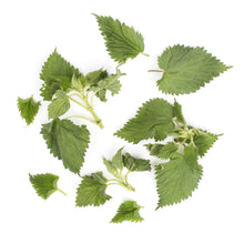 Wholesale Simply Nature Organic Chopped Kale Green 12oz 10ct- Bulk