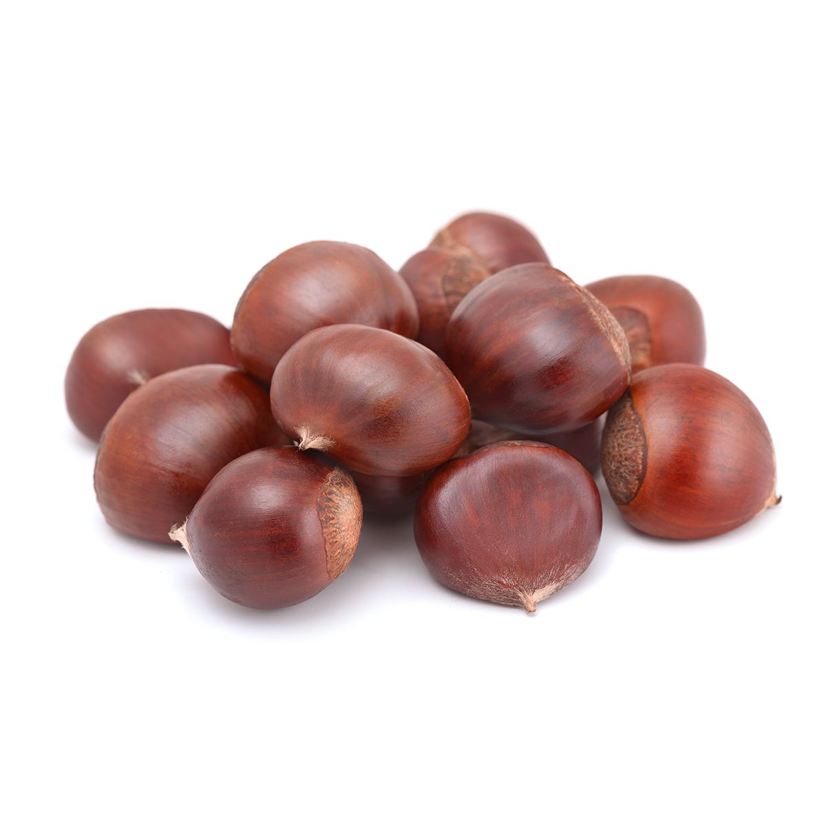 Wholesale BoxNCase Italian AAAA Chestnuts-25 LB Bulk