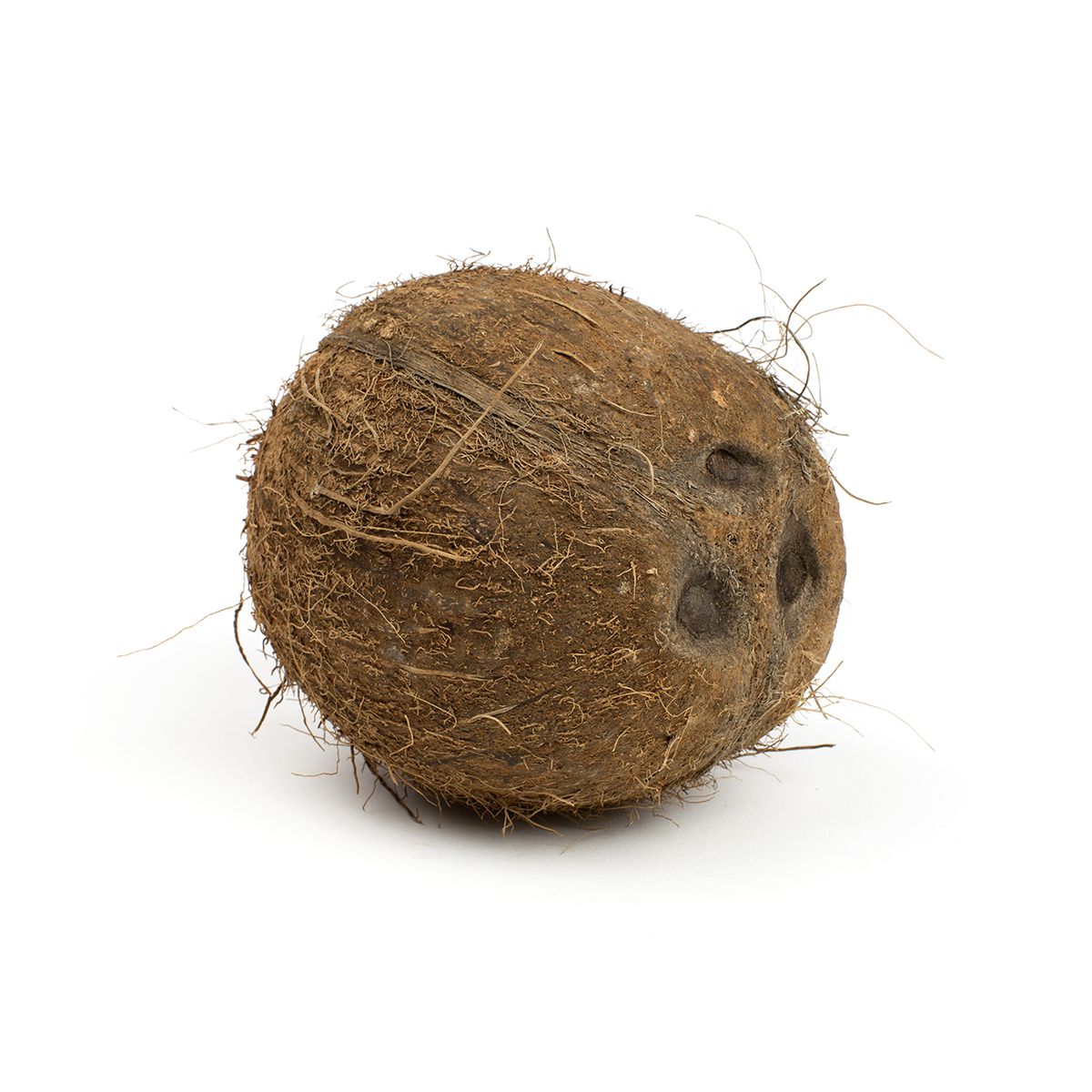 BoxNCase Coconuts