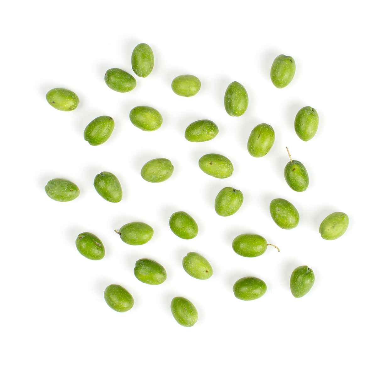 Wholesale BoxNCase Fresh Green Olives- Bulk
