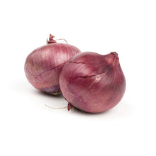Wholesale BoxNCase Red Jumbo Onions- Bulk