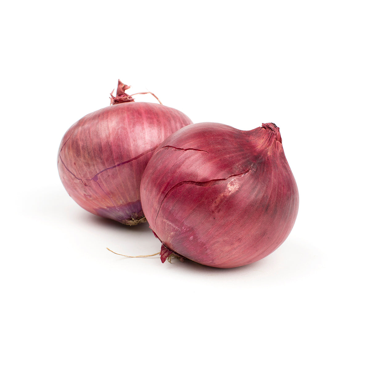 Wholesale BoxNCase Jumbo Red Onions- Bulk