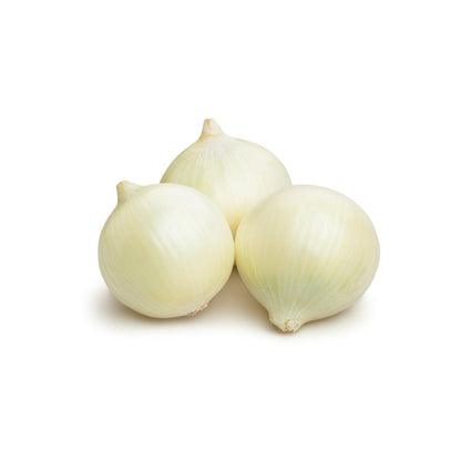 Wholesale BoxNCase White Pearl Onions 12- Bulk