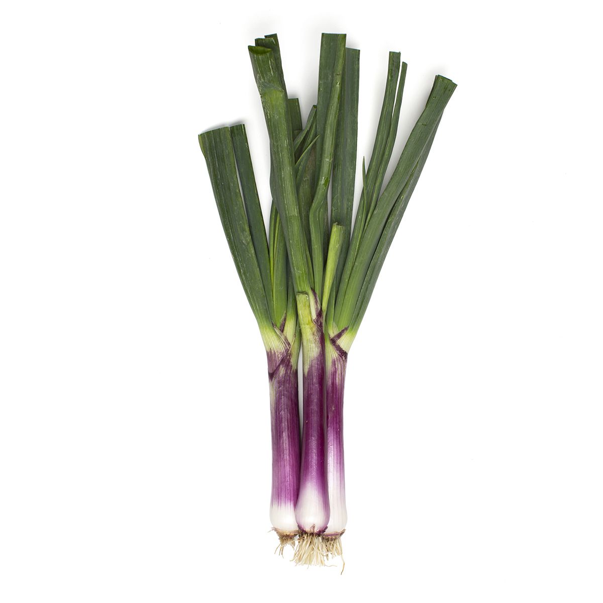 Tesco Finest Red Spring Onion 120G 12ct