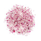 Wholesale BoxNCase 1/4 Diced Red Onions- Bulk