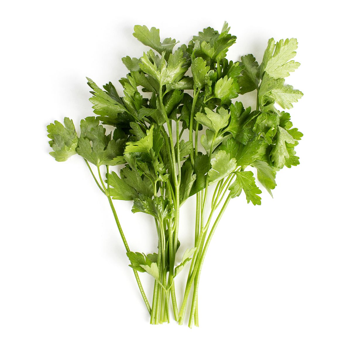 Wholesale BoxNCase Organic Italian Parsley-30 CT Bulk