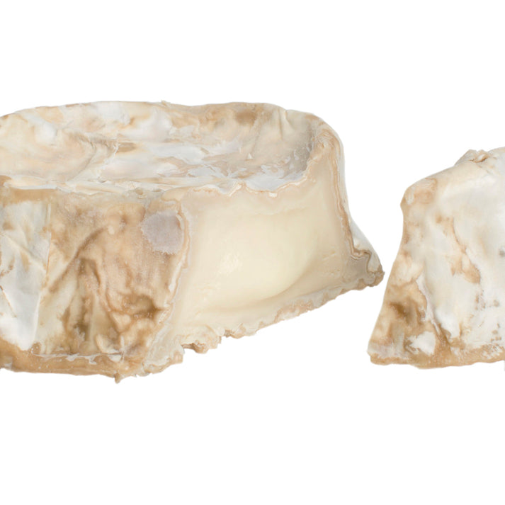 Wholesale Goat Camembert Cheese 5-7 OZ- Bulk