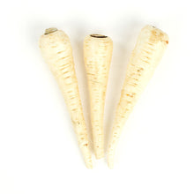 Wholesale BoxNCase Extra Fancy Parsnips- Bulk