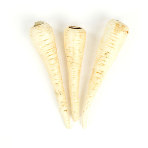 Wholesale BoxNCase Extra Fancy Parsnips-20 LB Bulk