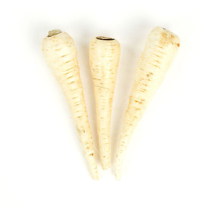 Wholesale BoxNCase Extra Fancy Parsnips- Bulk