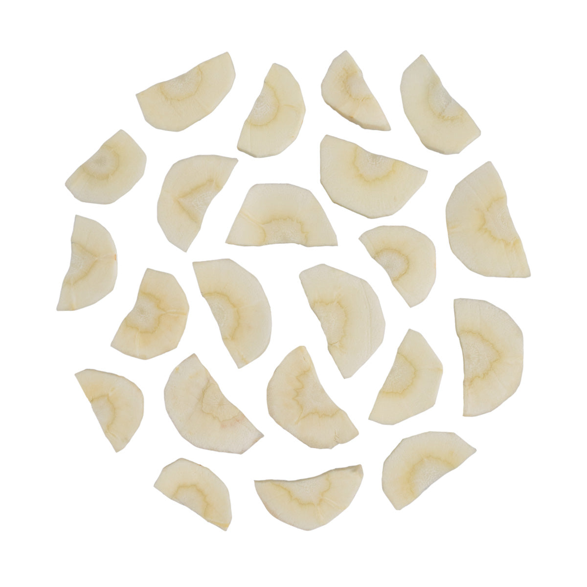 Wholesale BoxNCase 1/8 Half Moon Parsnip 5 LB- Bulk