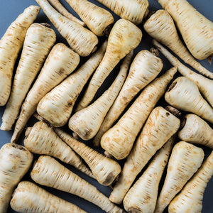 Wholesale BoxNCase Extra Fancy Parsnips-20 LB Bulk