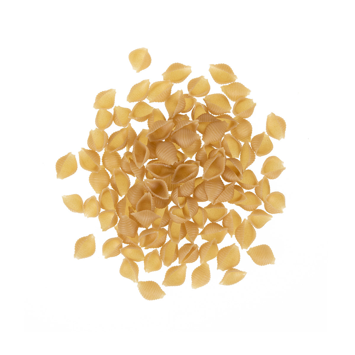 Wholesale Jovial Gluten Free Organic Brown Rice Pasta Shells 12 OZ-12ct Case Bulk