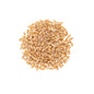 Wholesale BoxNCase Organic Einkorn Wheatberries-10 LB Bulk