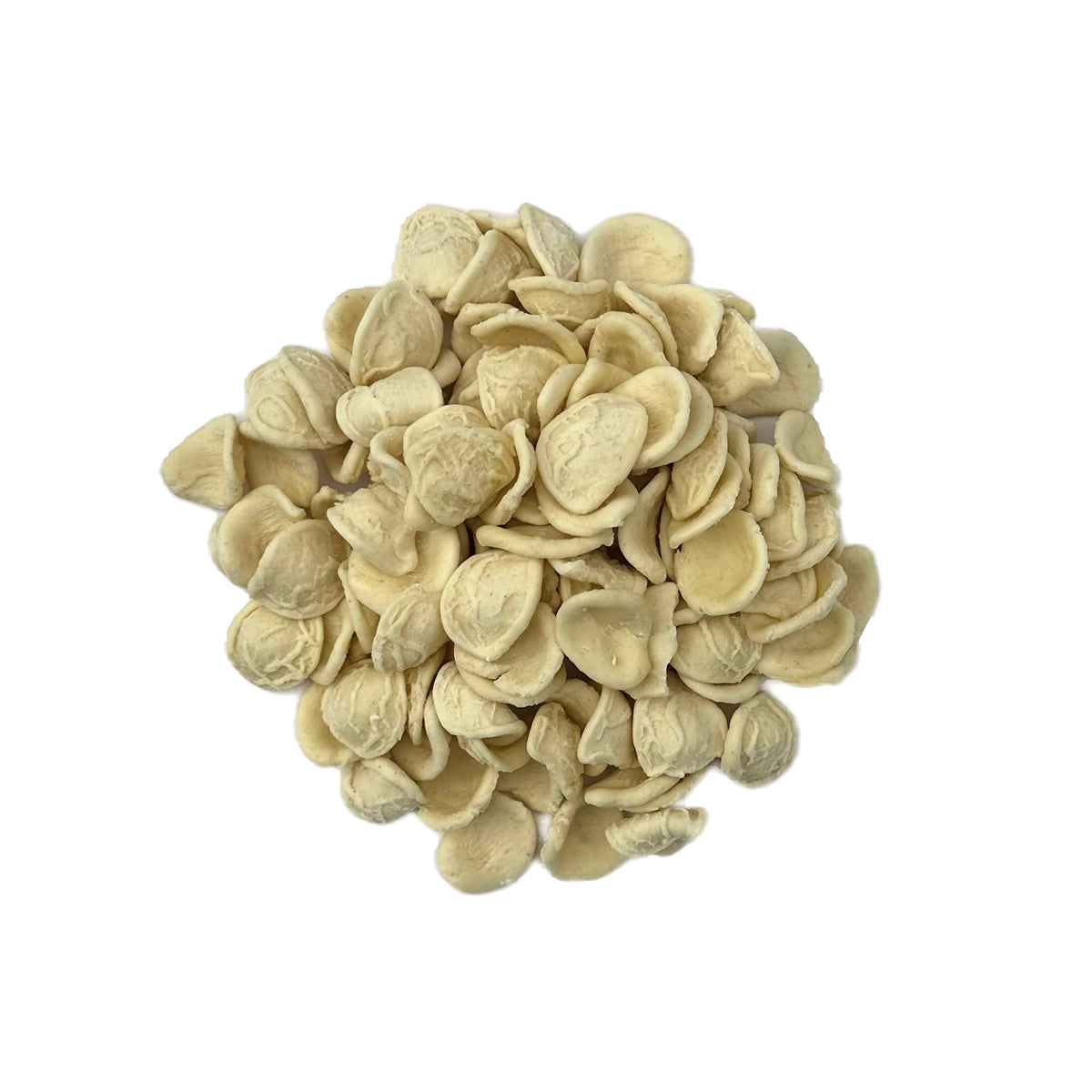 Wholesale La Trafila Fresh Orecchiette Pasta- Bulk