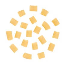 Wholesale Sfoglini Pasta Organic Semolina Rigatoni Pasta 2.5 LB Bag- Bulk