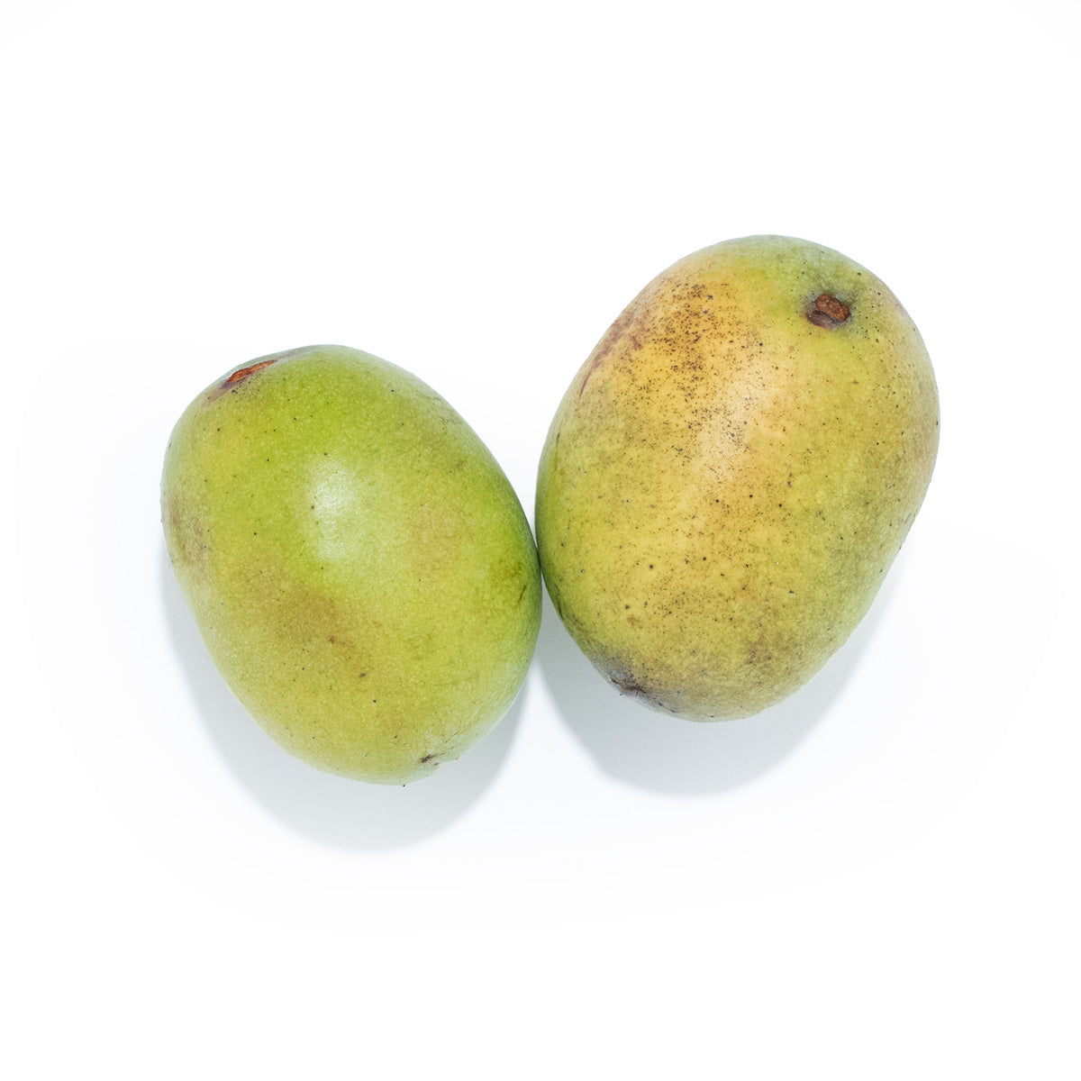 Wholesale Meadows And More Pawpaws-6 LB Bulk