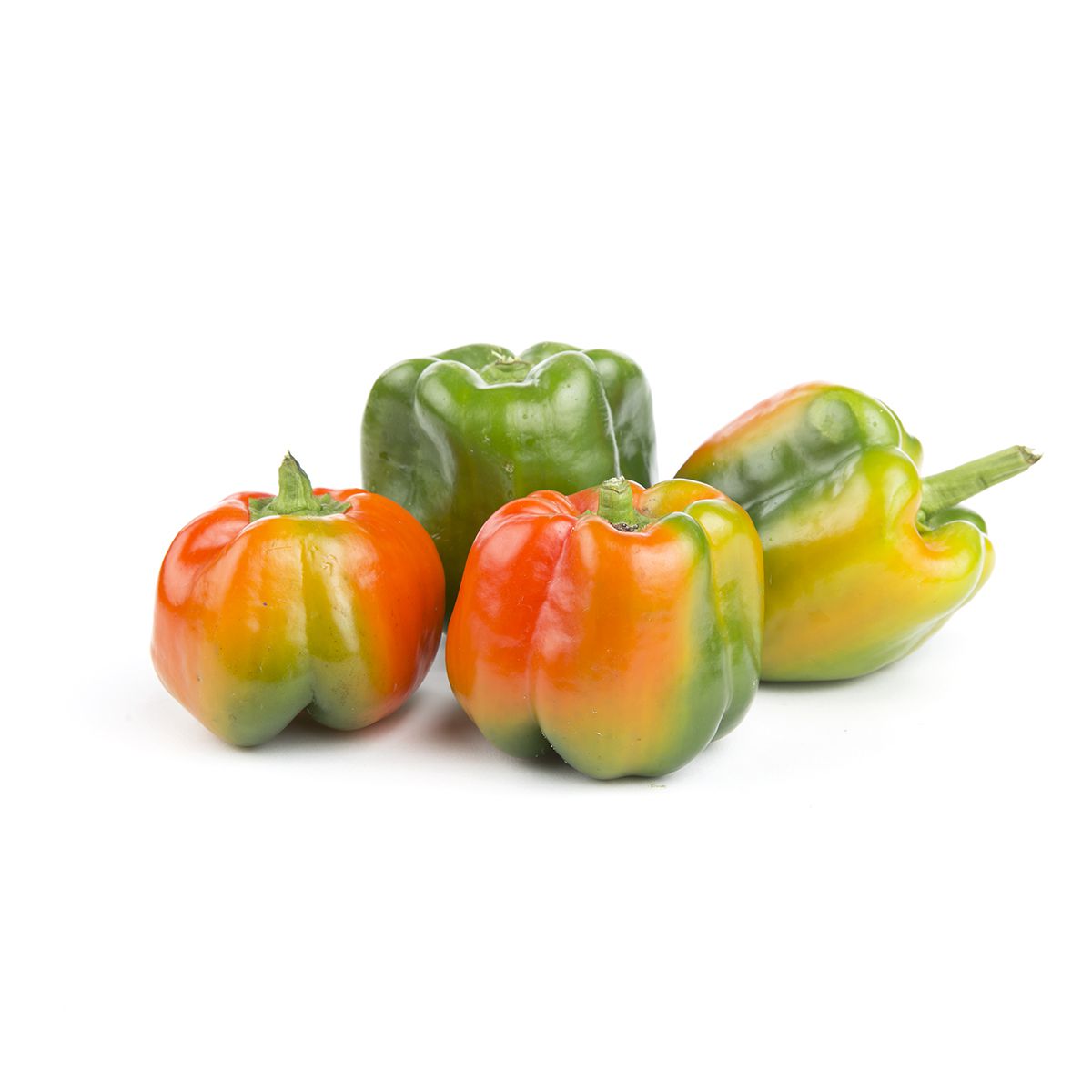 Wholesale BoxNCase Sun Tan Peppers-1-1/9 BSH Bulk