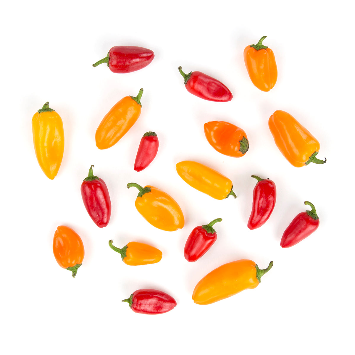 Wholesale BoxNCase Organic Sweet Pepper Medley 16 OZ- Bulk