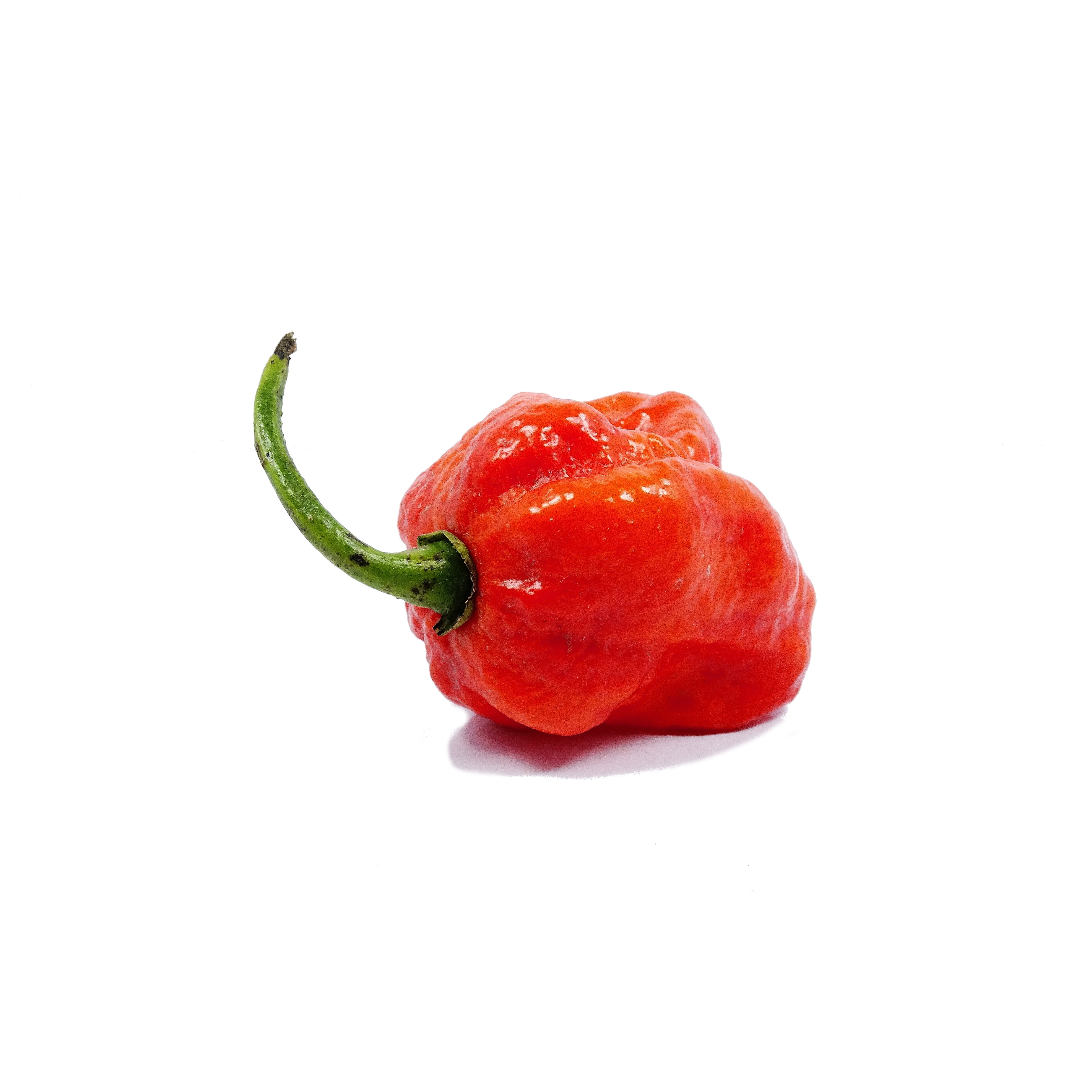 Good & Gather Mini Sweet Peppers 16oz 8ct