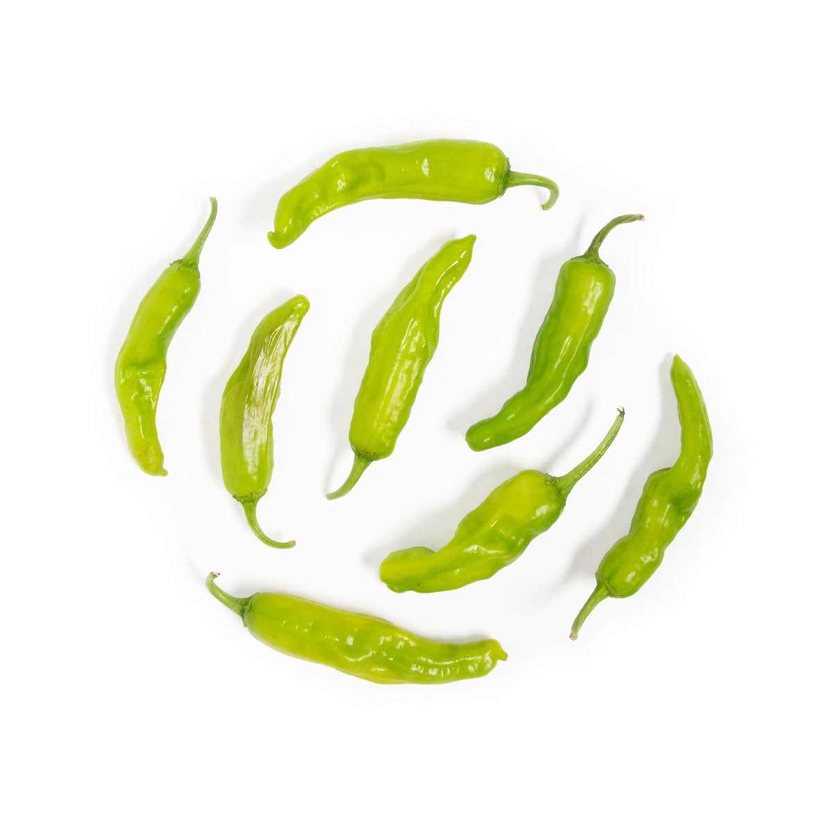 Wholesale BoxNCase Shishito Peppers 8 OZ-8ct Case Bulk