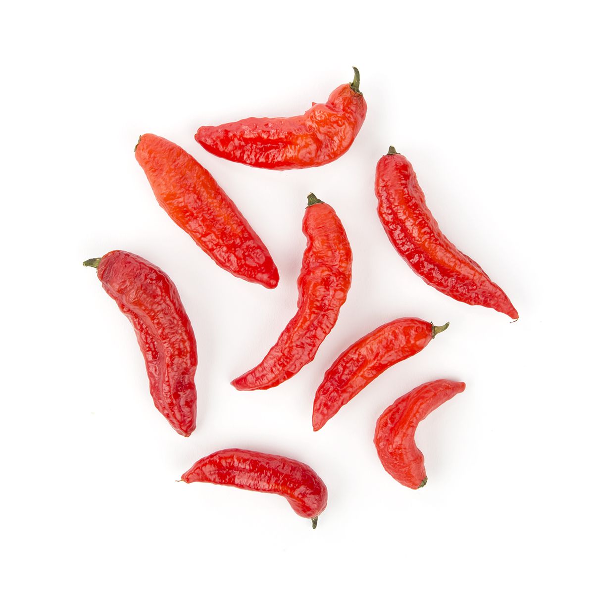 Wholesale BoxNCase Fresh Ghost Chiles-8X50 GR Bulk