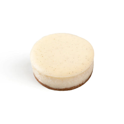 Wholesale Pearl River 3in Vanilla Bean Cheesecakes- Bulk