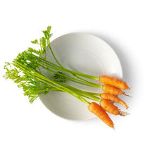 Wholesale Fresh Origins Tiny Carrots- Bulk