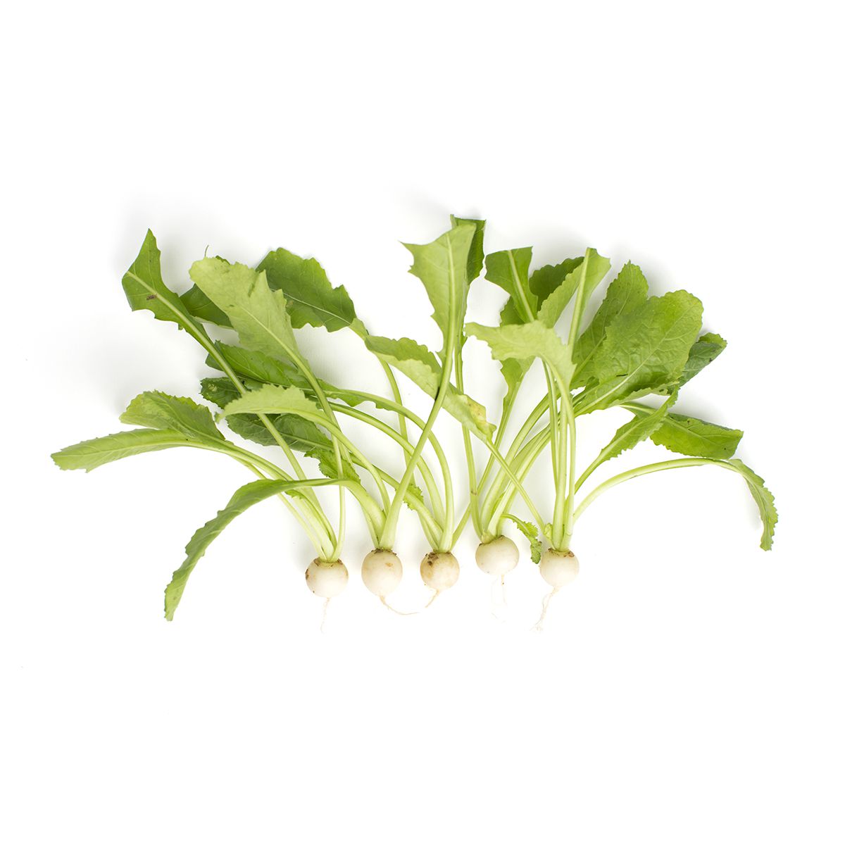 Fresh Origins Tiny Turnips