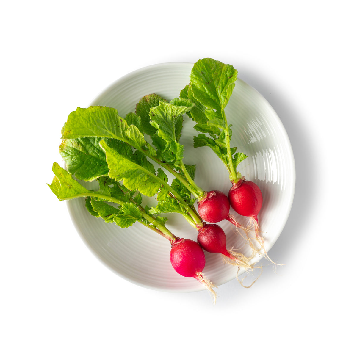 Wholesale Fresh Origins Tiny Radishes- Bulk