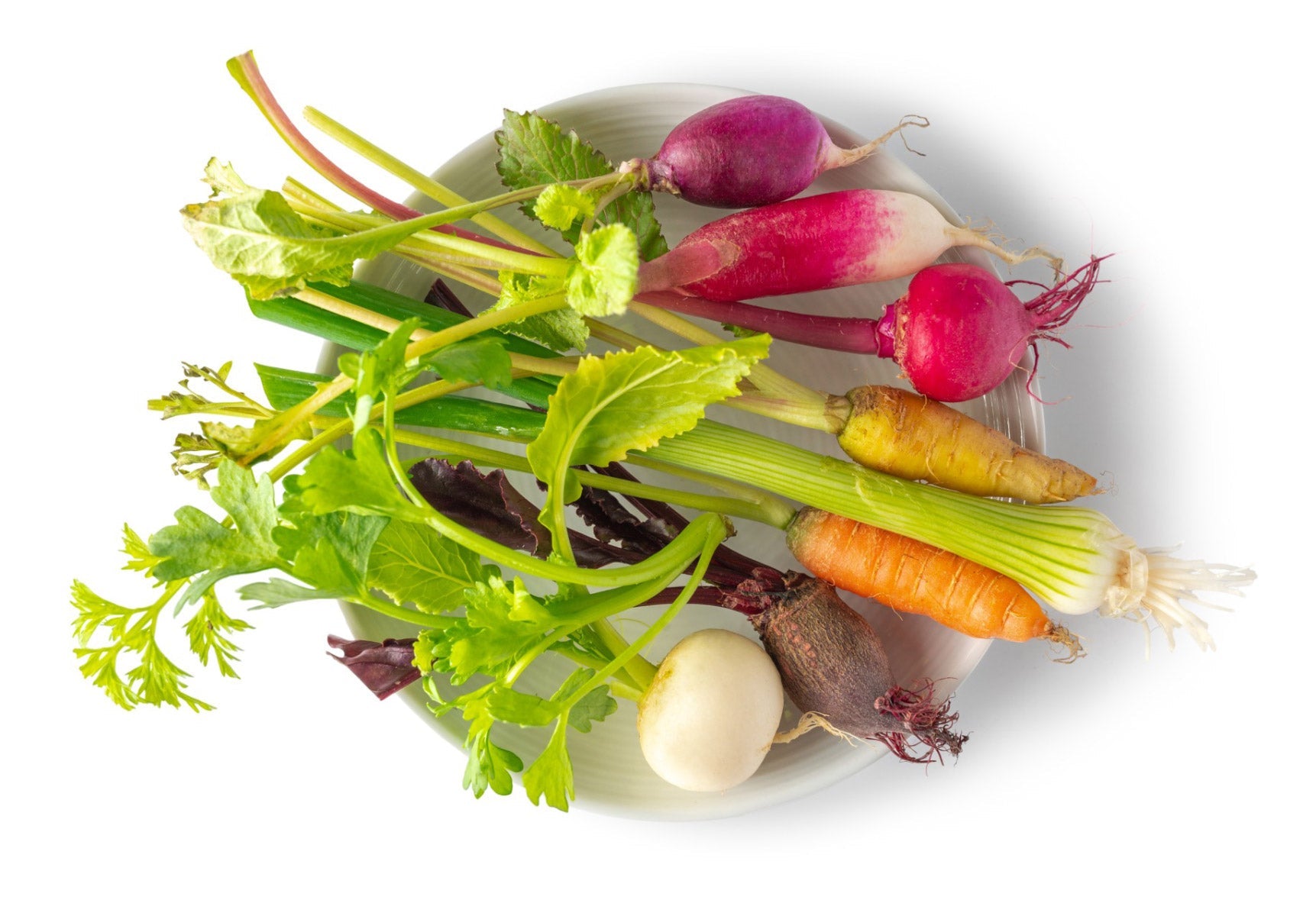 Wholesale Fresh Origins Little Veggies Crudite Mix-50 CT Bulk